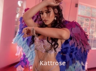 Kattrose