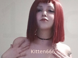 Kitten666