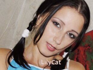 Lily_Cat_