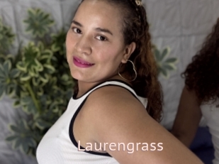 Laurengrass