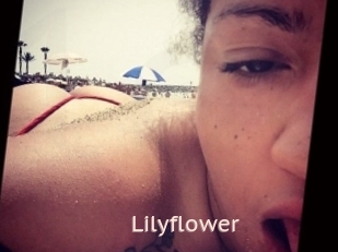 Lilyflower