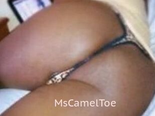 MsCamelToe