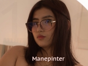 Manepinter