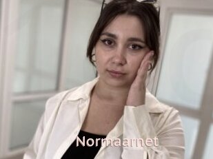 Normaarnet