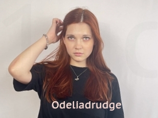 Odeliadrudge