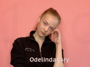 Odelindagary