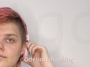 Odelindahamling