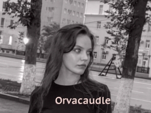 Orvacaudle