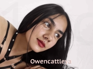 Owencattleya