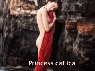 Princess_cat_ica