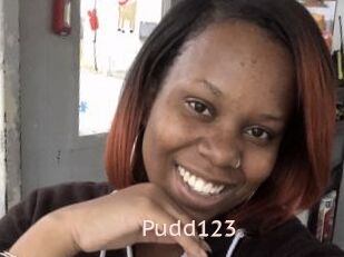 Pudd123