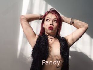 Pandy