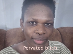 Pervated_bitch