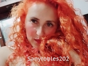 Sanyrobles202