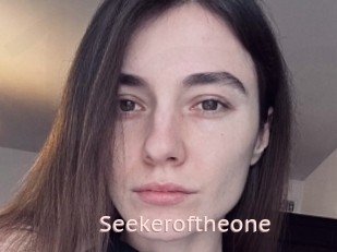 Seekeroftheone