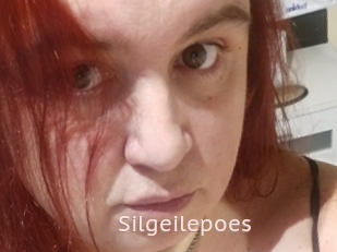 Silgeilepoes