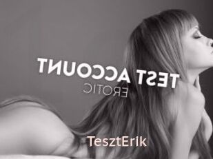 TesztErik