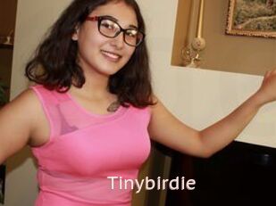 Tinybirdie