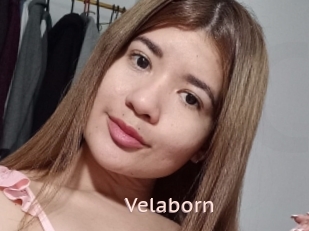 Velaborn