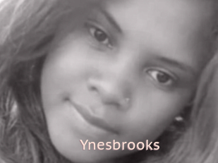 Ynesbrooks